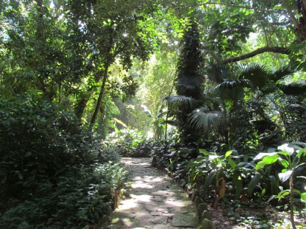 Rio Botanical Garden