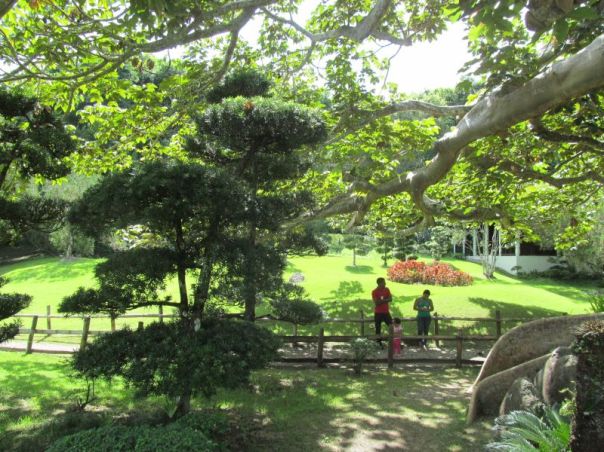 Japanese Garden: Santo Domingo 6