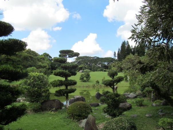 Japanese Garden:  Santo Domingo 4